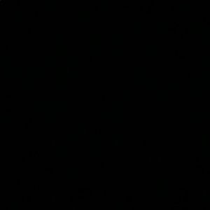 Meet your Posher, Ali